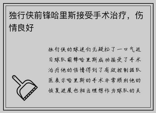 独行侠前锋哈里斯接受手术治疗，伤情良好