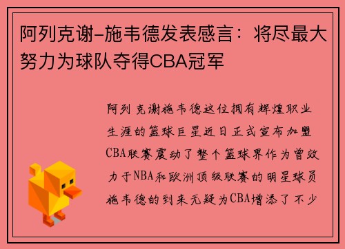 阿列克谢-施韦德发表感言：将尽最大努力为球队夺得CBA冠军