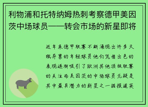 利物浦和托特纳姆热刺考察德甲美因茨中场球员——转会市场的新星即将登场？